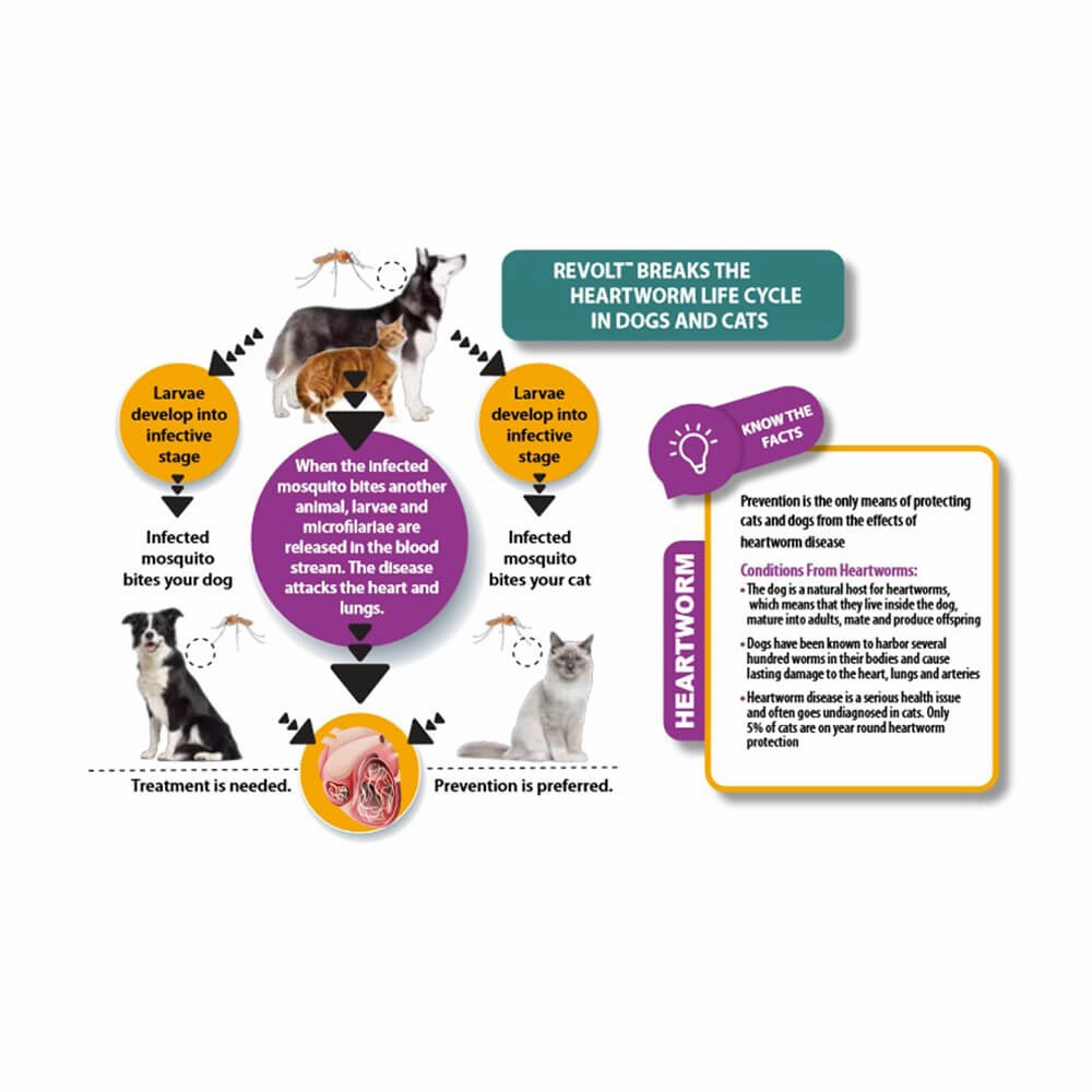 Rx Revolt (Selamectin) for Cat/Dog, 0-5 lbs, 3 pk