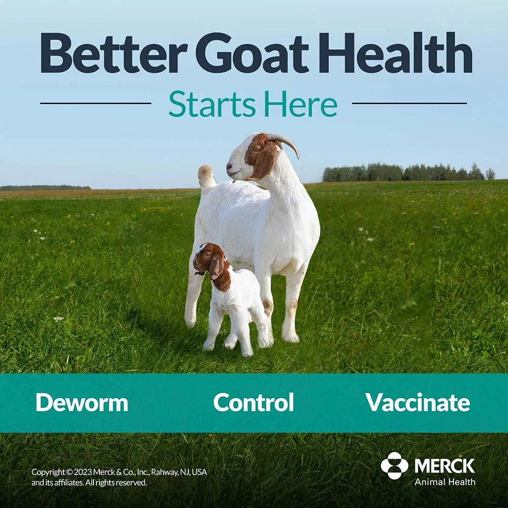 Safe-Guard Goat Dewormer (10% Suspension), 125 mL
