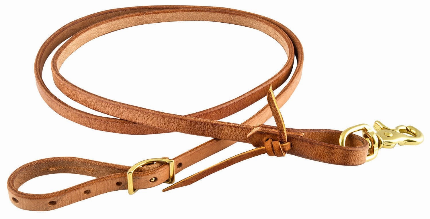 San Saba Pony Harness Leather Rein cat fur care cat grooming tools cat deshedding brush cat bath kit cat nail trimmer