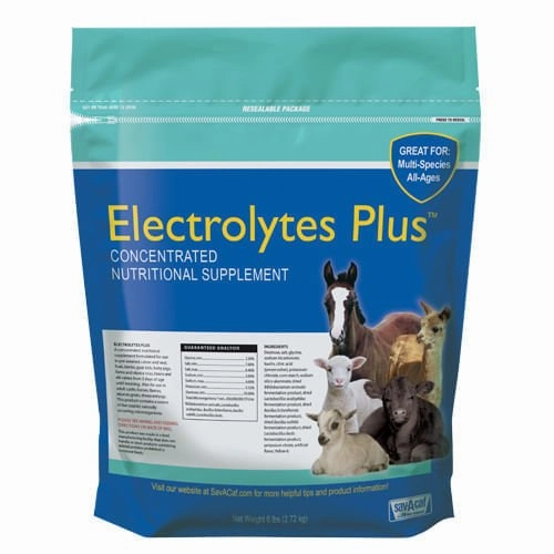 Sav-A-Caf Electrolytes Plus