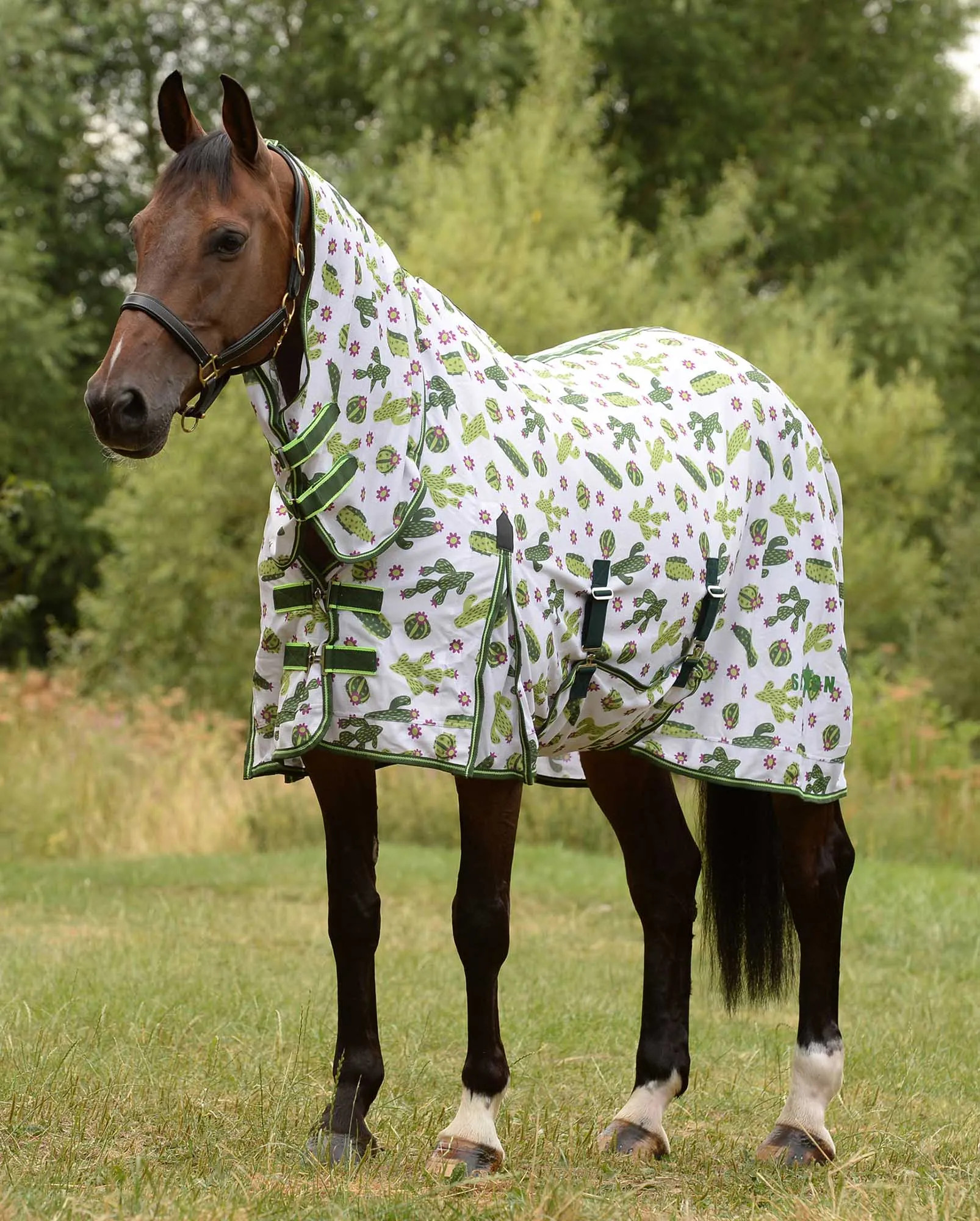 Saxon Combo Neck Horse Fly Sheet with Belly Wrap, Cactus