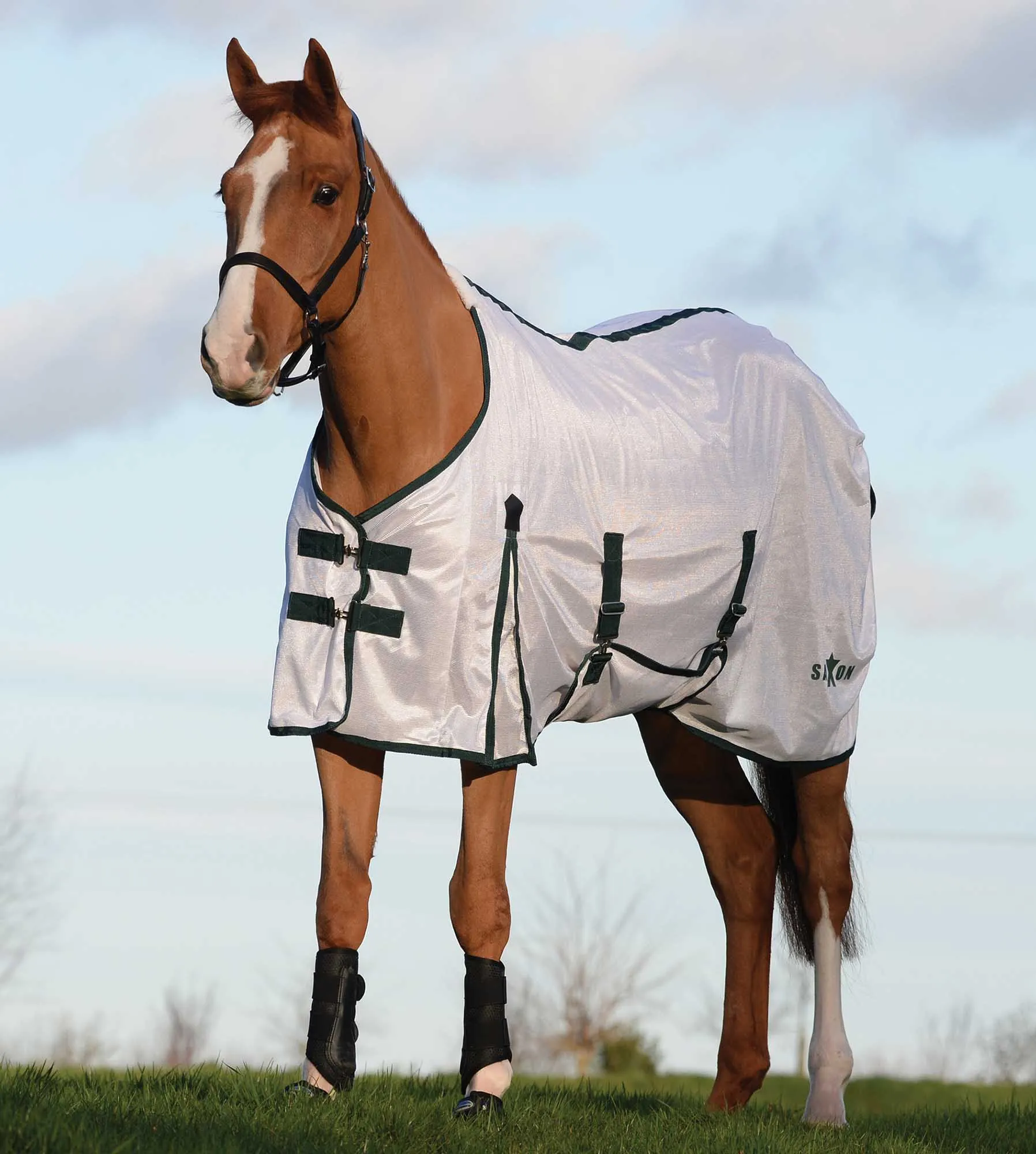 Saxon Standard Neck Mesh Horse Fly Sheet