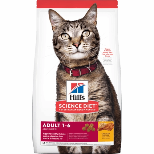 Science Diet Adult Chicken Recipe Dry Cat Food cat treats toys for cats cat hair remover cat cleaning supplies cat food bowl