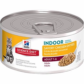Science Diet Indoor Cat Savory Chicken Entree Wet Cat Food cat treats toys for cats cat hair remover cat cleaning supplies cat food bowl