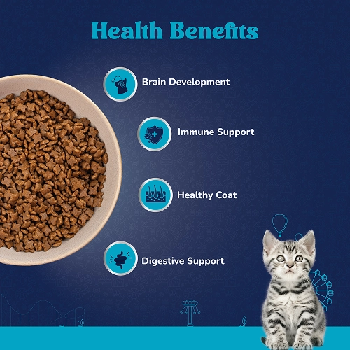 Scoopy Cat Litter, Signature Salmon Treats, Bark Out Loud Paw Cream, Carniwel Kitten Food & Pet Vogue Chew Toy Limited Cat Hamper