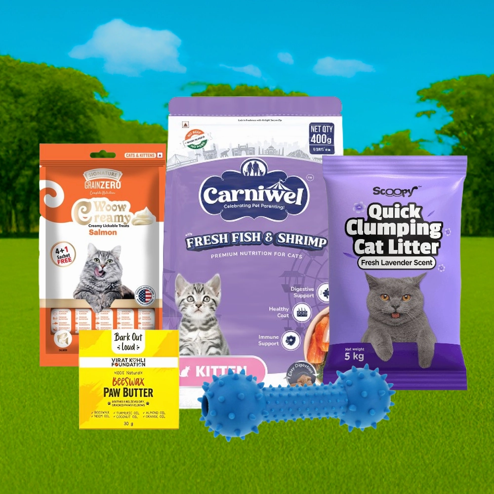 Scoopy Cat Litter, Signature Salmon Treats, Bark Out Loud Paw Cream, Carniwel Kitten Food & Pet Vogue Chew Toy Limited Cat Hamper