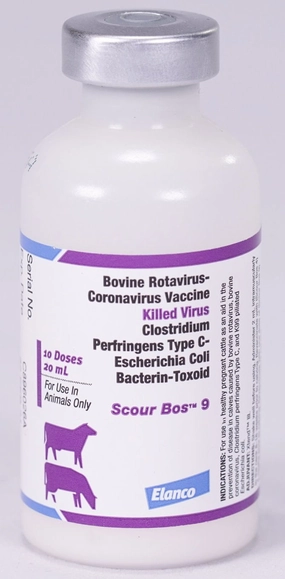 Scour Bos 9 Cattle Vaccine sheep feed sheep mineral sheep hay sheep pellets sheep salt block