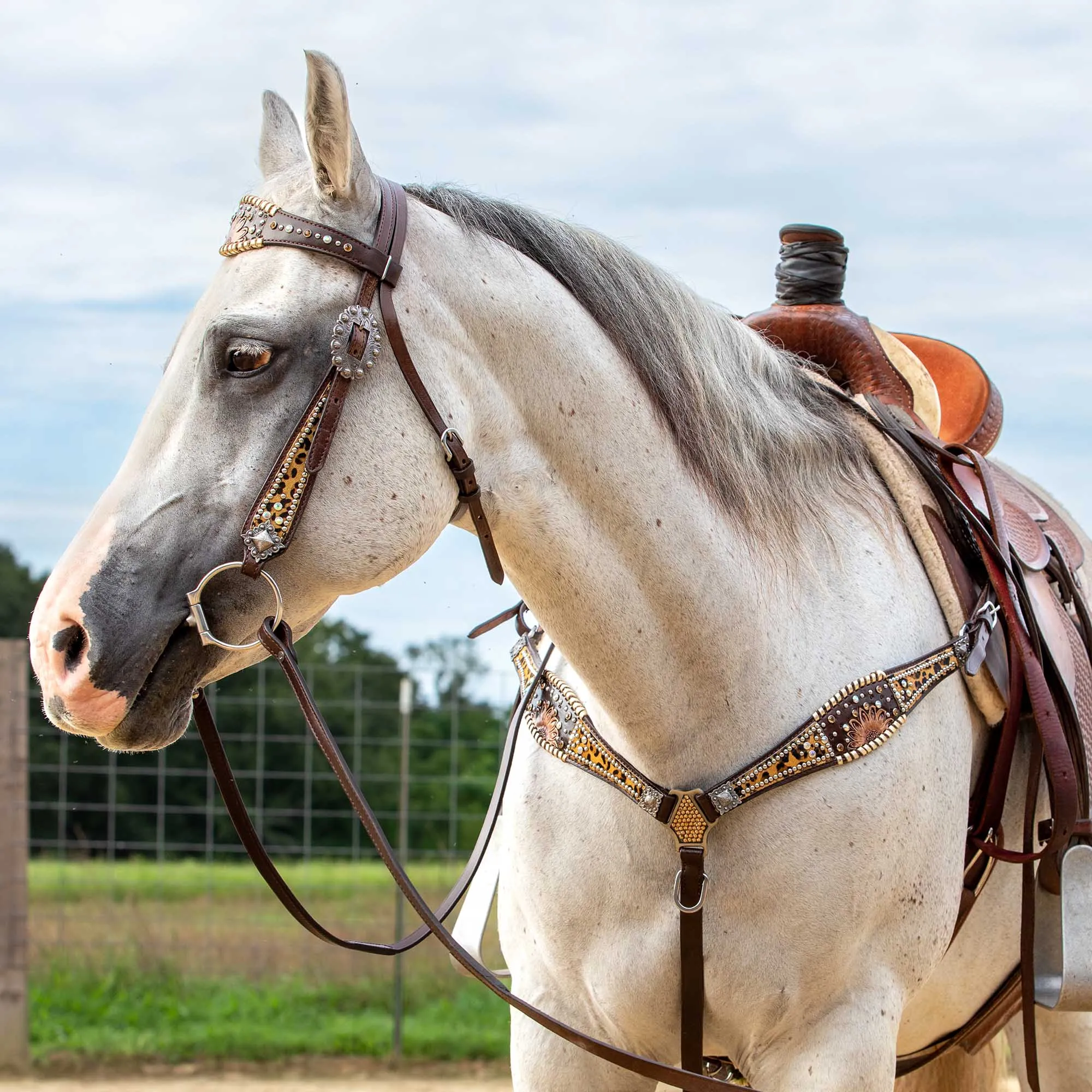 Showman Beaded Cheetah Headstall & Breast Collar