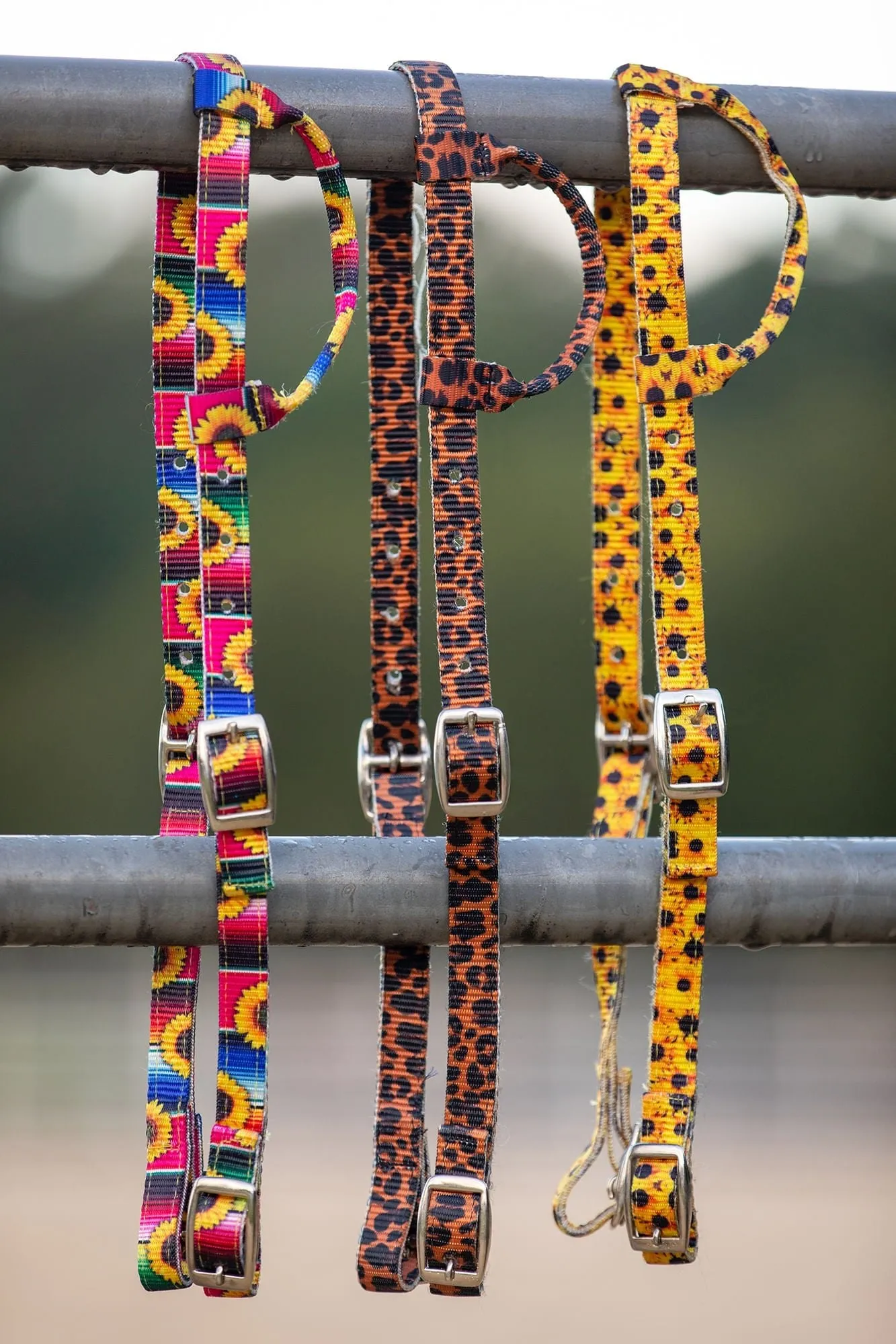 Showman Nylon One Ear Patterned Horse Headstall w/ Nickel Plated Buckles