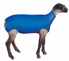 ShowPro Spandex Lamb Tube chicken supplies backyard chicken coop accessories poultry food chicken vitamins