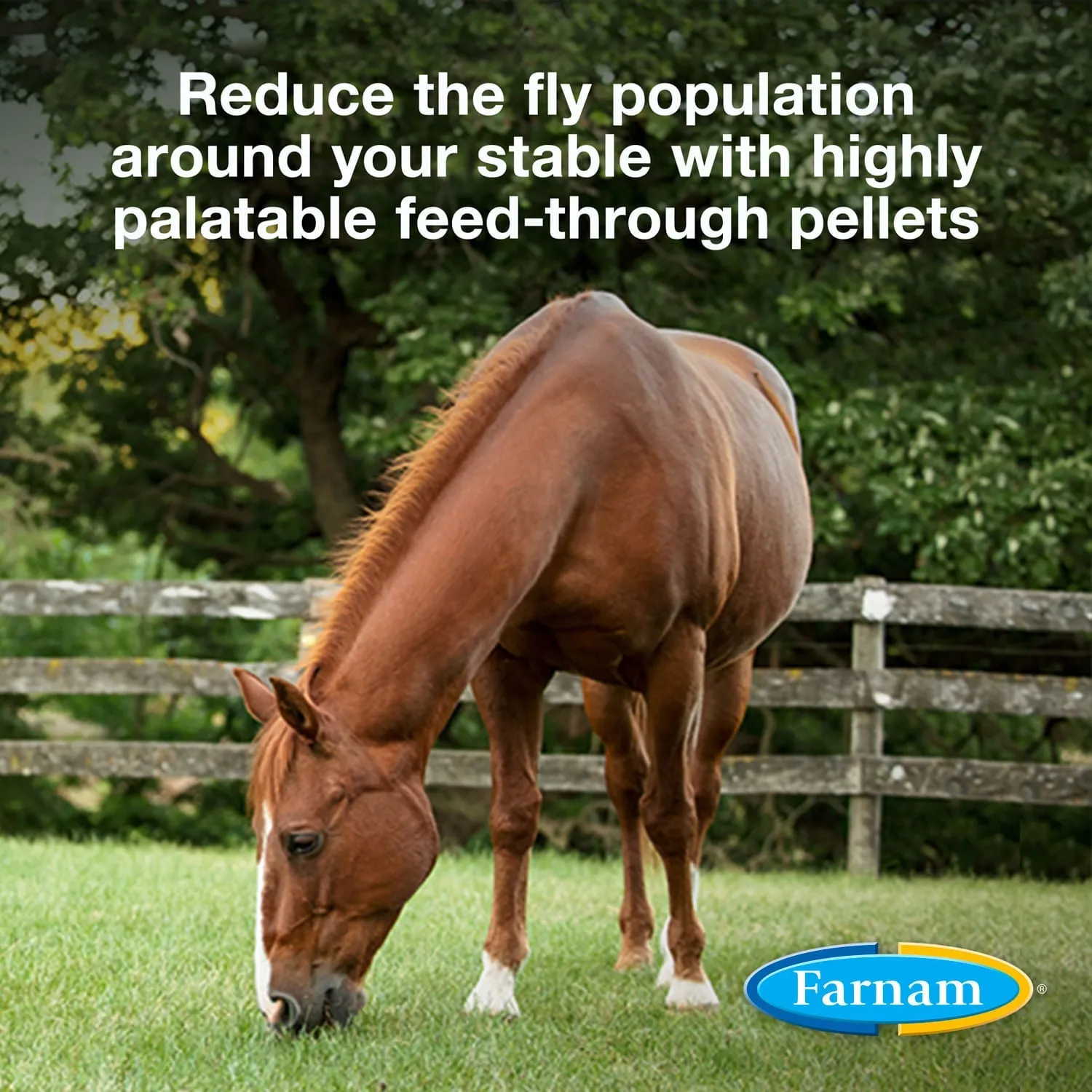 SimpliFly Feed-Thru Fly Control
