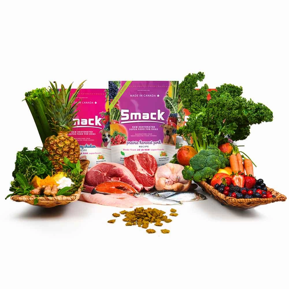 Smack Carribean Salmon Fusion Raw Dehydrated Dog Food