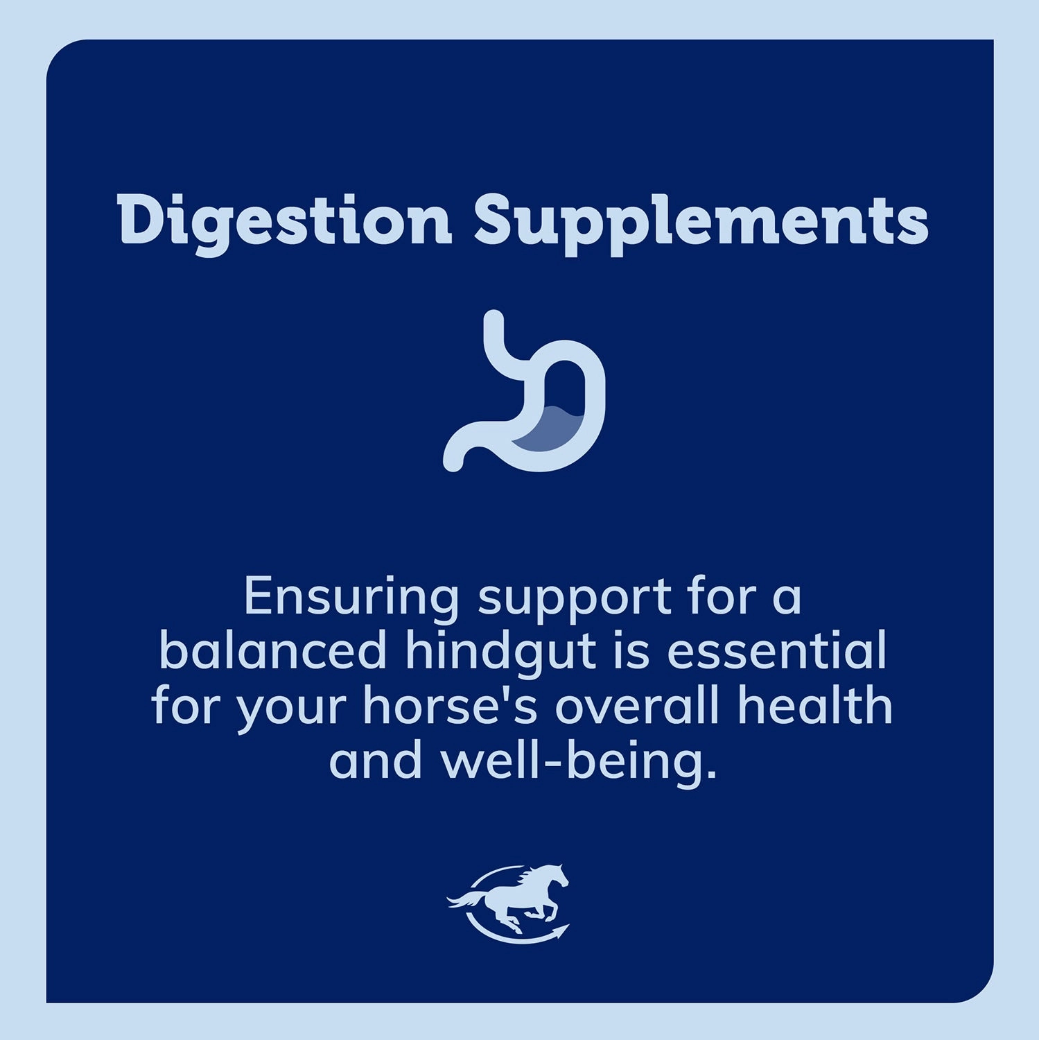 SmartPak SmartDigest Powder Digestive Supplement for Horses