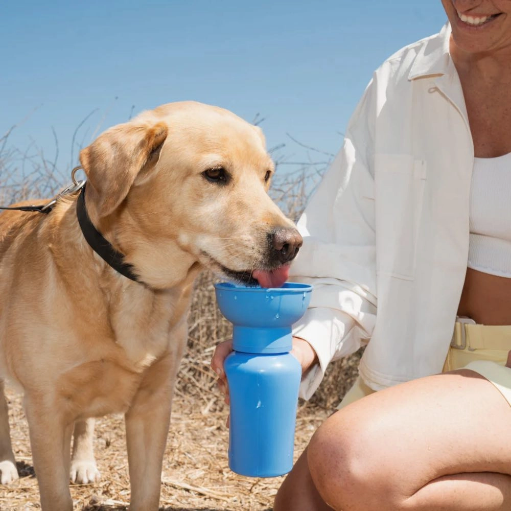 Springer Flip Dog Travel Water Bottle 590ml (Oat)