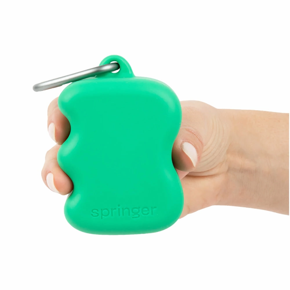 Springer Silicone Dog Treat Dispenser (Blueberry)