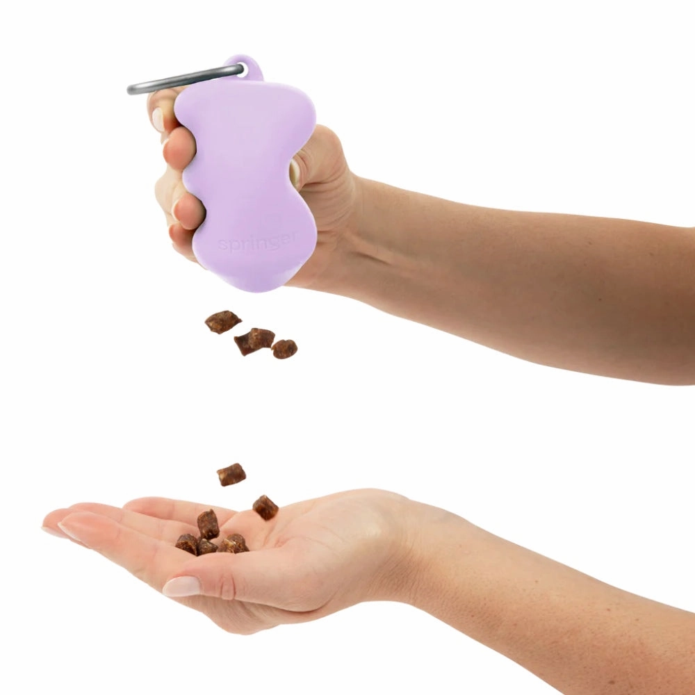 Springer Silicone Dog Treat Dispenser (Blueberry)
