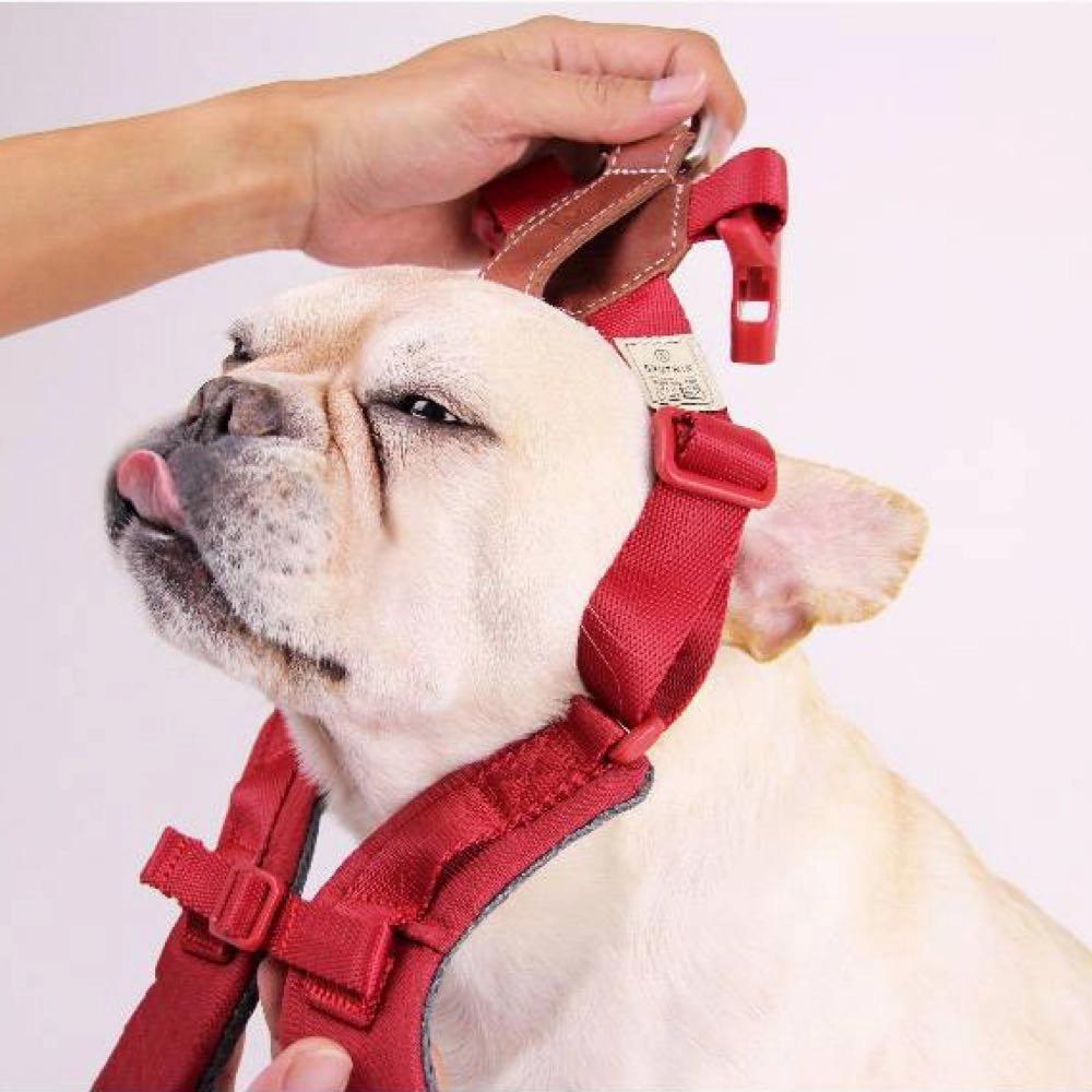 Sputnik Comfort Dog Harness (Blue)