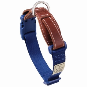 Sputnik Nylon Dog Collar (Blue) dog bones rawhide chew sticks dog jerky bacon bone