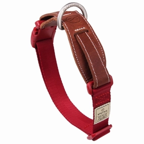 Sputnik Nylon Dog Collar (Red) grain free dog food natural dog biscuits high protein dog food dog food pack dog meat sticks