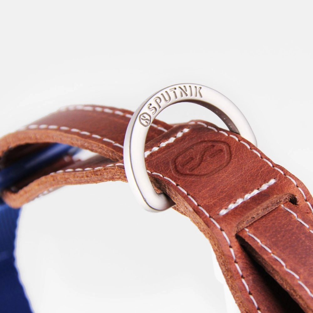 Sputnik Nylon Dog Collar (Red)