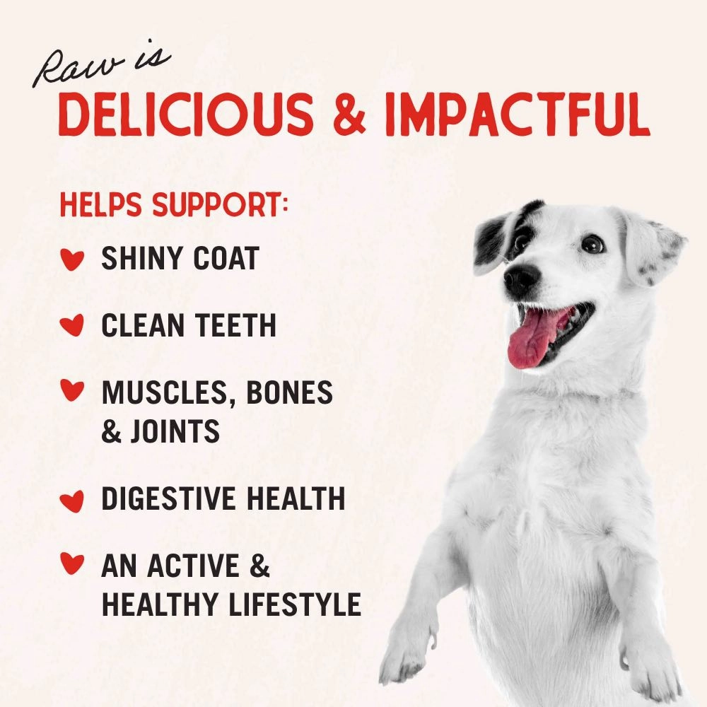 Stella & Chewys Meal Mixers Purely Pork Freeze-Dried Dog Food 18oz