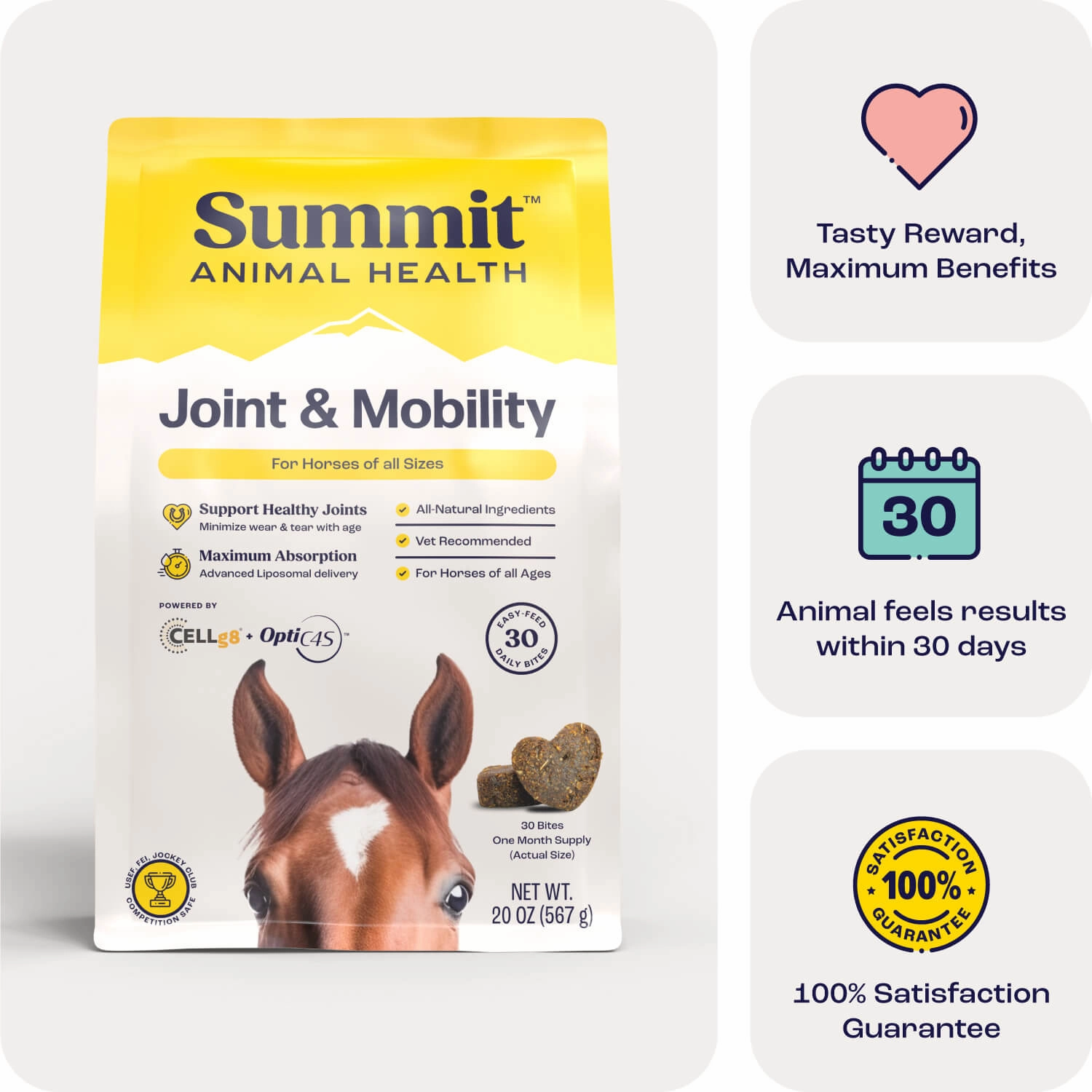 Summit Animal Health - Joint & Mobility BITES for Horses, 30 ct