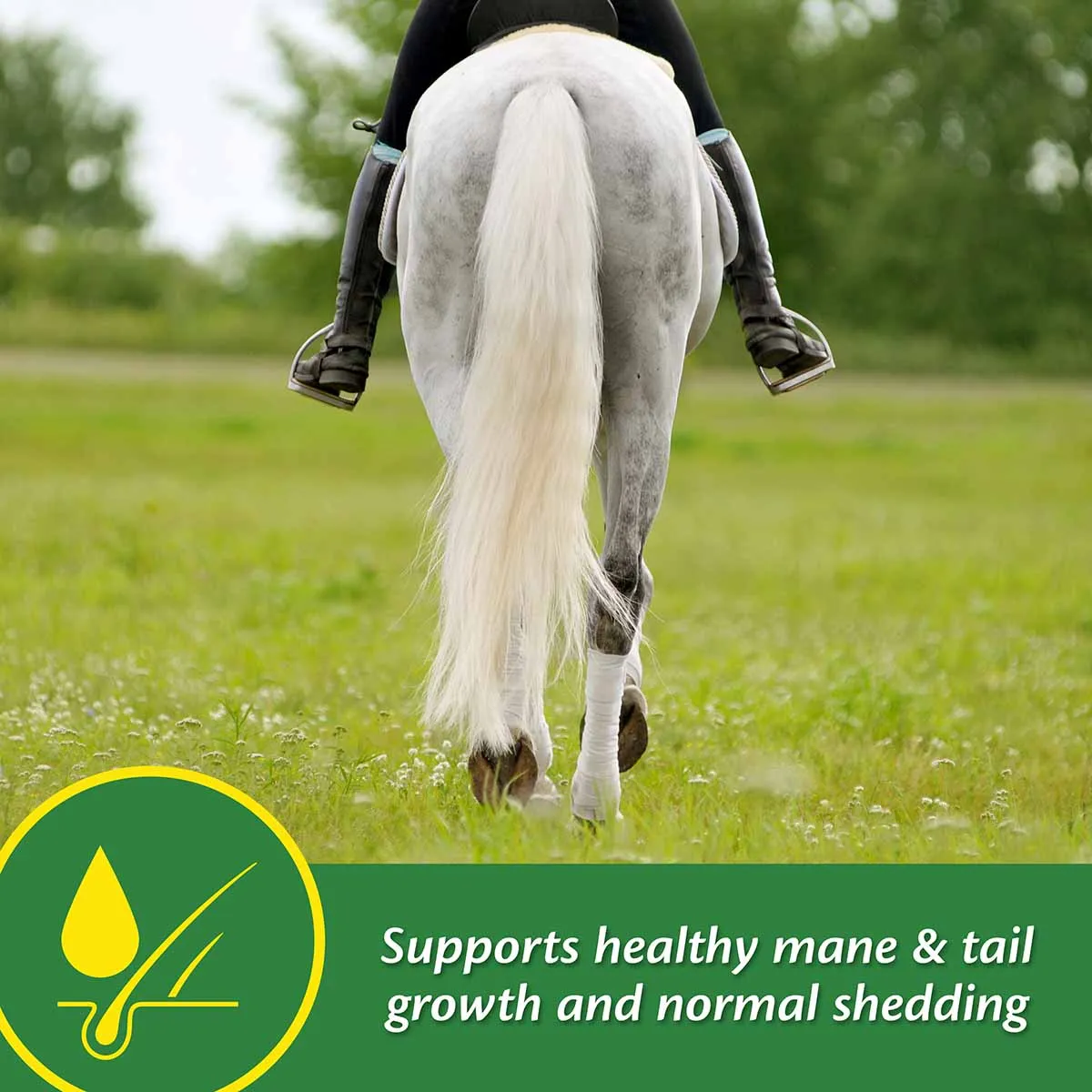 Super 14 Powder for Horses, 5 lb (Improved Formula)
