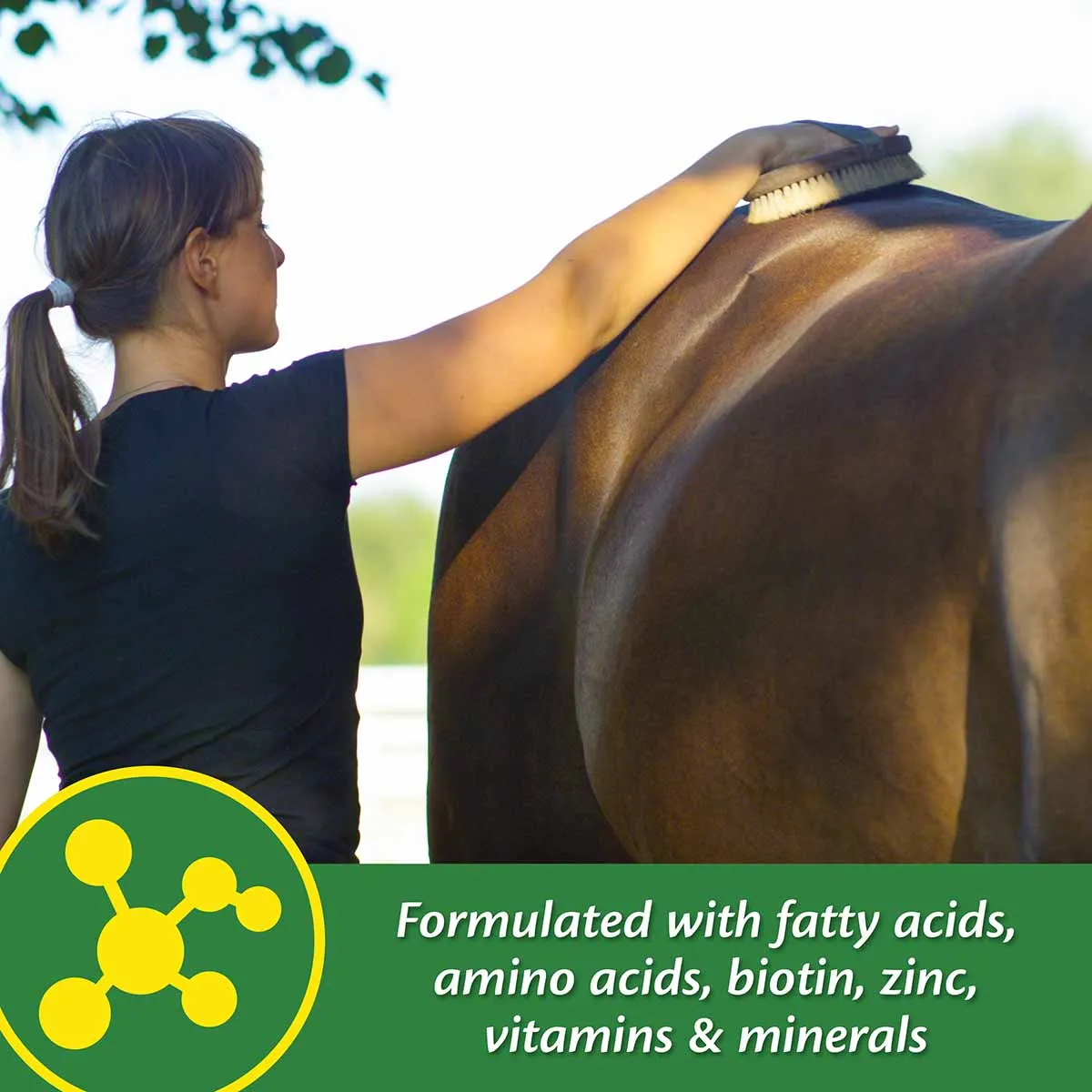 Super 14 Powder for Horses, 5 lb (Improved Formula)