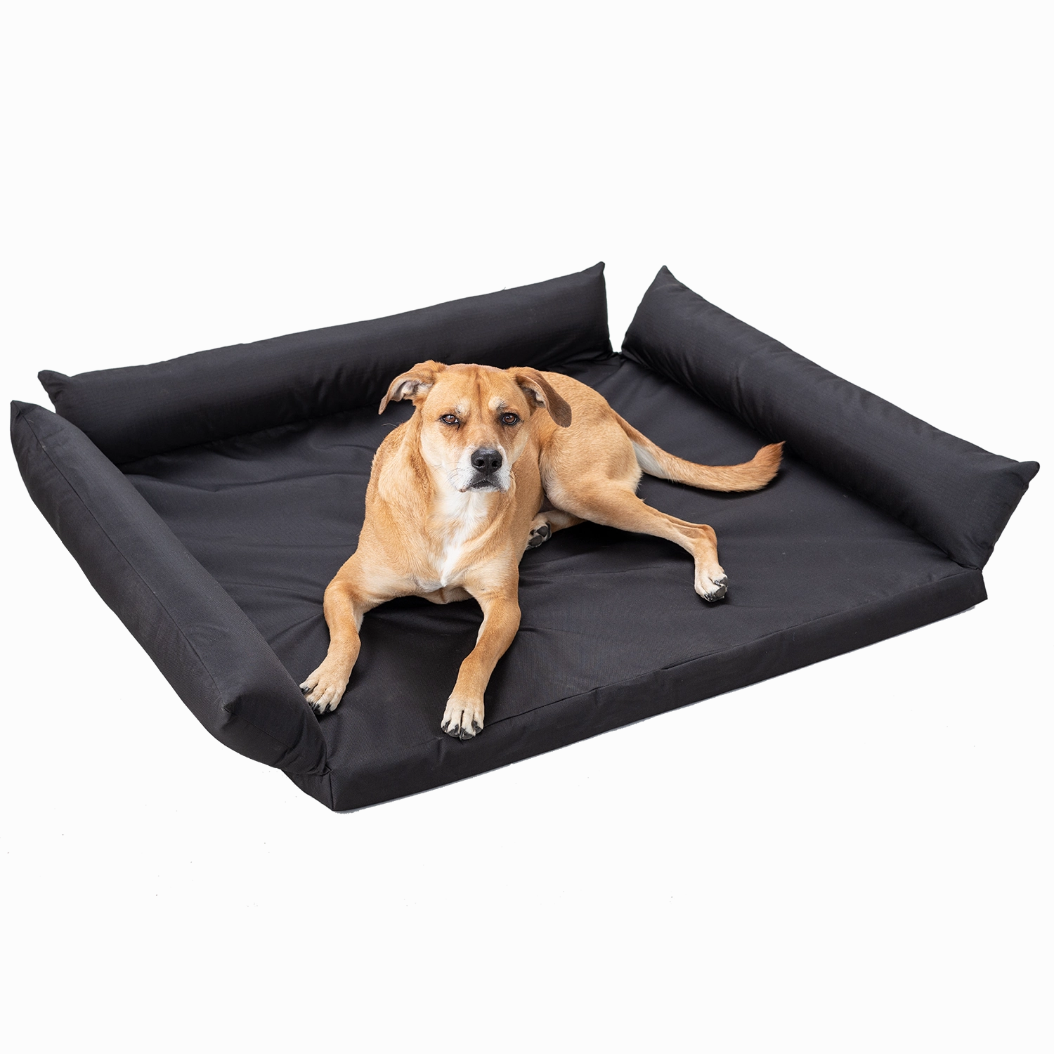 SUV Dog Bed