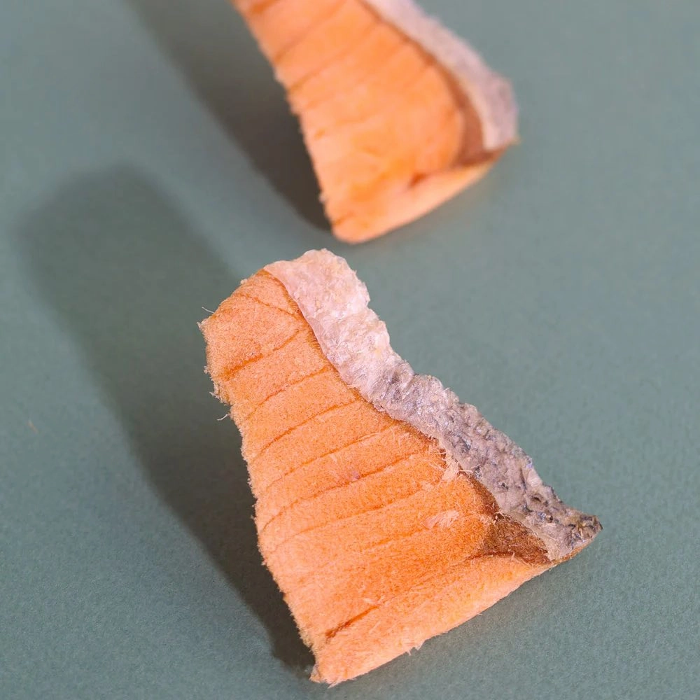 Taki Salmon Fillet Freeze-Dried Treat For Cats & Dogs (1 Packet) 7.5g