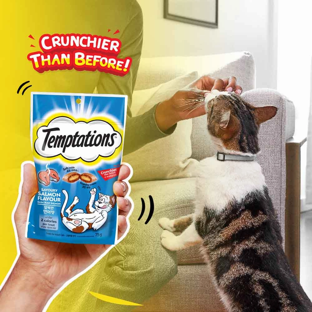 Temptations Savory Salmon Cat Treats 75g