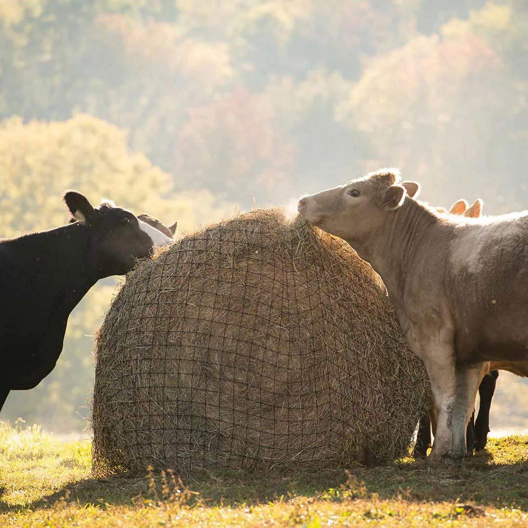 Texas Haynet Livestock Hay Bale Net for Round or Square Bales