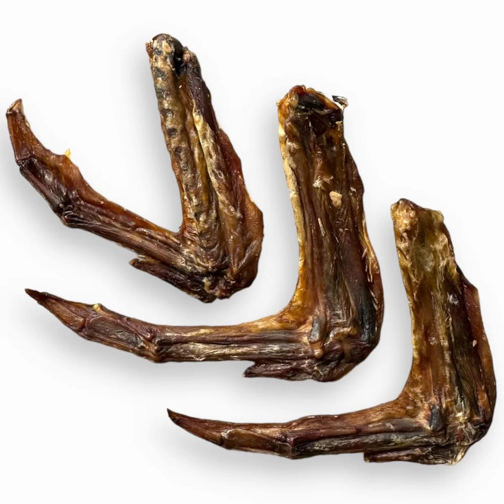 The Source-Sage Club Duck Wings Grain-Free Dog Chews 100g dog supplies dog food toys accessories dog bed