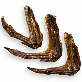 The Source-Sage Club Duck Wings Grain-Free Dog Chews 100g dog supplies dog food toys accessories dog bed