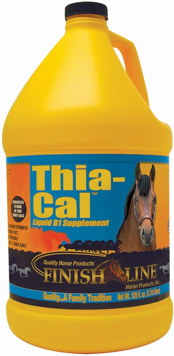 Thia-Cal Liquid B1 for Horses, Gallon