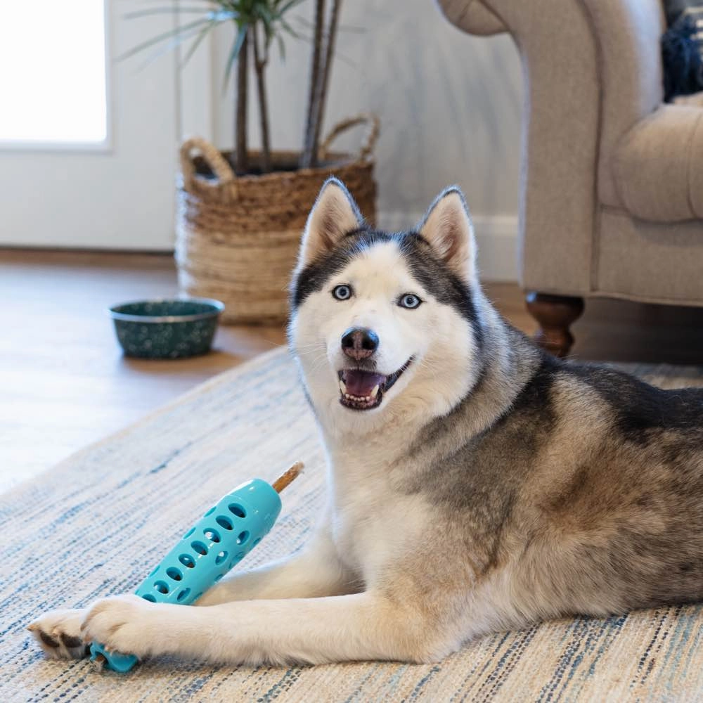 Totally Pooched Stuff'n Chew Rocket Stick Dog Toy (Orange)