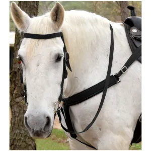 Horse Western Tack