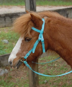 Triple E Miniature Nylon Headstall with Bit & Reins cat fur care cat grooming tools cat deshedding brush cat bath kit cat nail trimmer