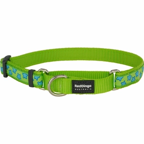 Turquoise Stars on Lime Green Martingale dog leash harness set dog leash clip rope dog leash retractable leash