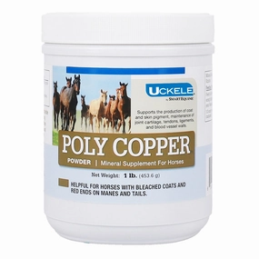 Uckele Poly Copper Powder Mineral Supplement for Horses poultry remedies poultry supplement goat vitamins sheep probiotics animal health boost