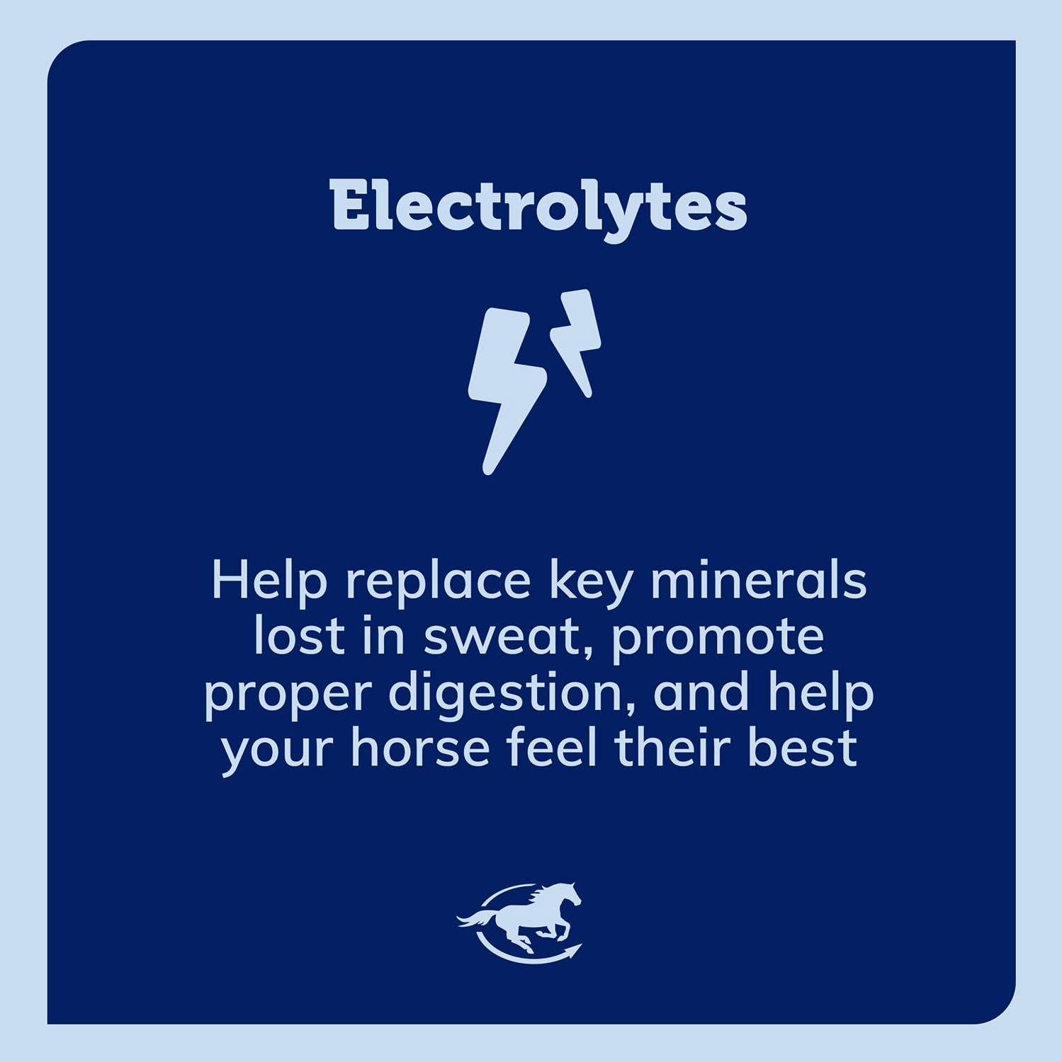 Uckele Pro Formula Labs Lyte Now Electrolyte Paste Horse Supplement