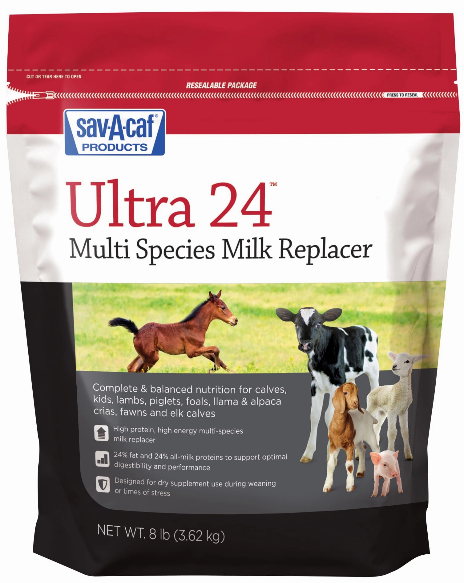 Ultra 24 Multi-Species Milk Replacer wet cat food canned food for cats gravy cat cans soft texture cat food wet pouches
