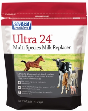 Ultra 24 Multi-Species Milk Replacer wet cat food canned food for cats gravy cat cans soft texture cat food wet pouches