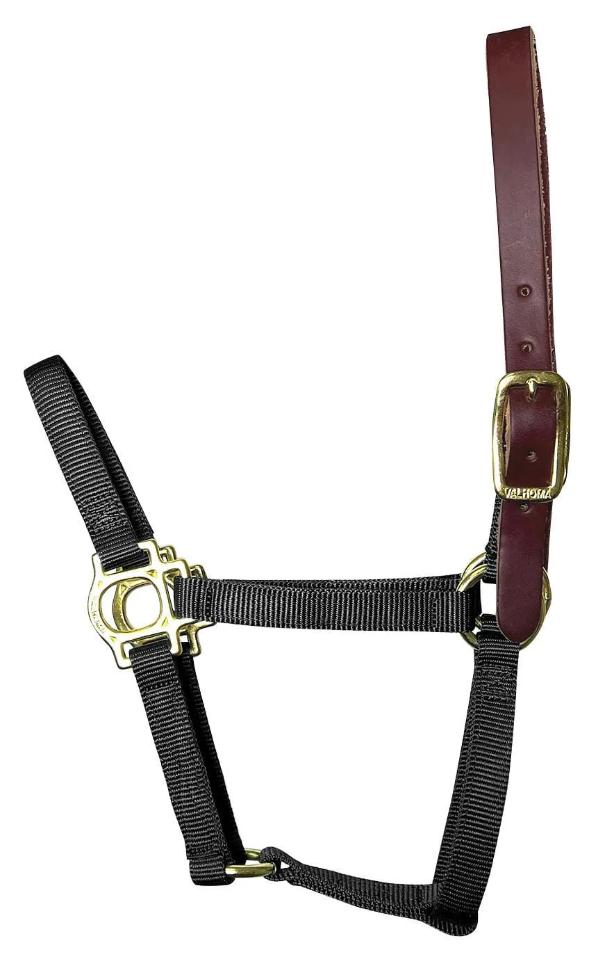 Valhoma Foal & Yearling Premium Breakaway Nylon Halter with Leather Crown