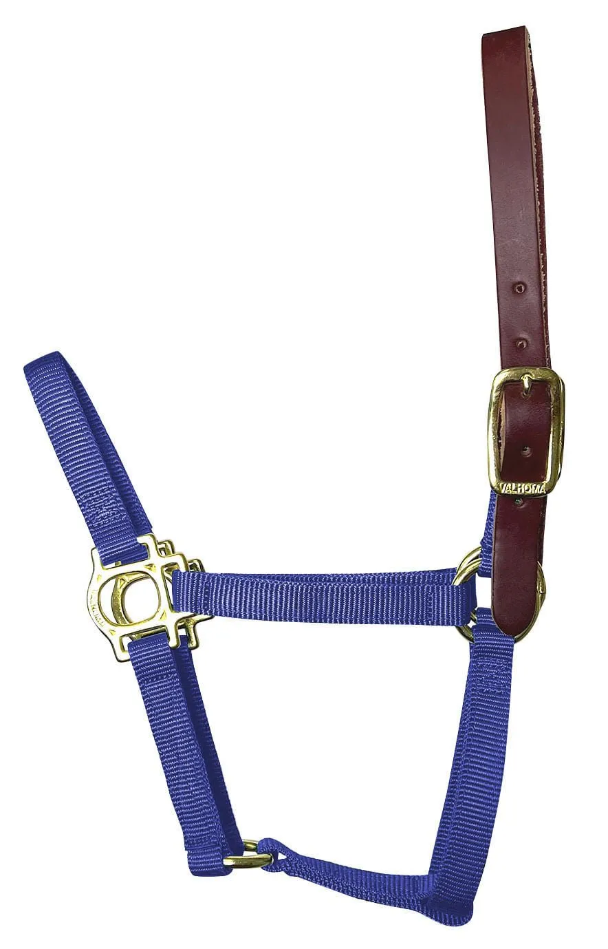 Valhoma Foal & Yearling Premium Breakaway Nylon Halter with Leather Crown
