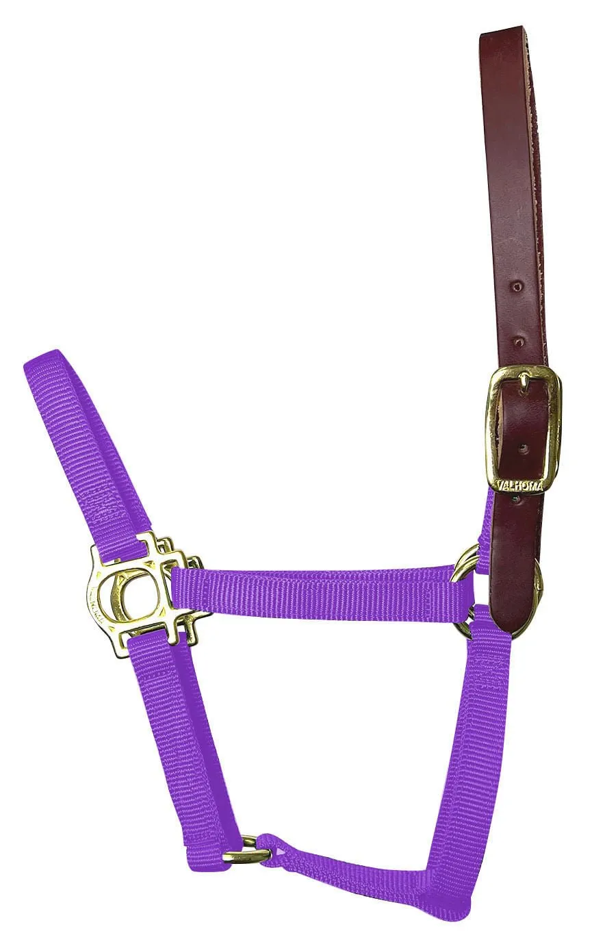 Valhoma Foal & Yearling Premium Breakaway Nylon Halter with Leather Crown