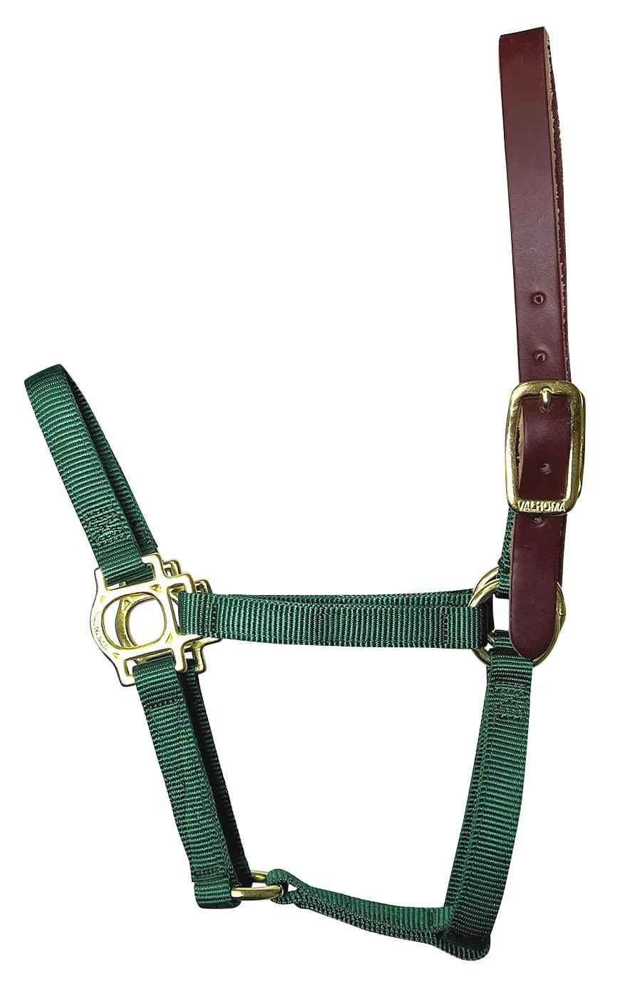 Valhoma Foal & Yearling Premium Breakaway Nylon Halter with Leather Crown