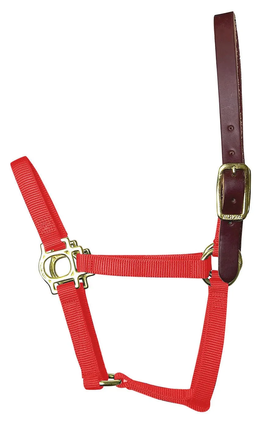 Valhoma Foal & Yearling Premium Breakaway Nylon Halter with Leather Crown