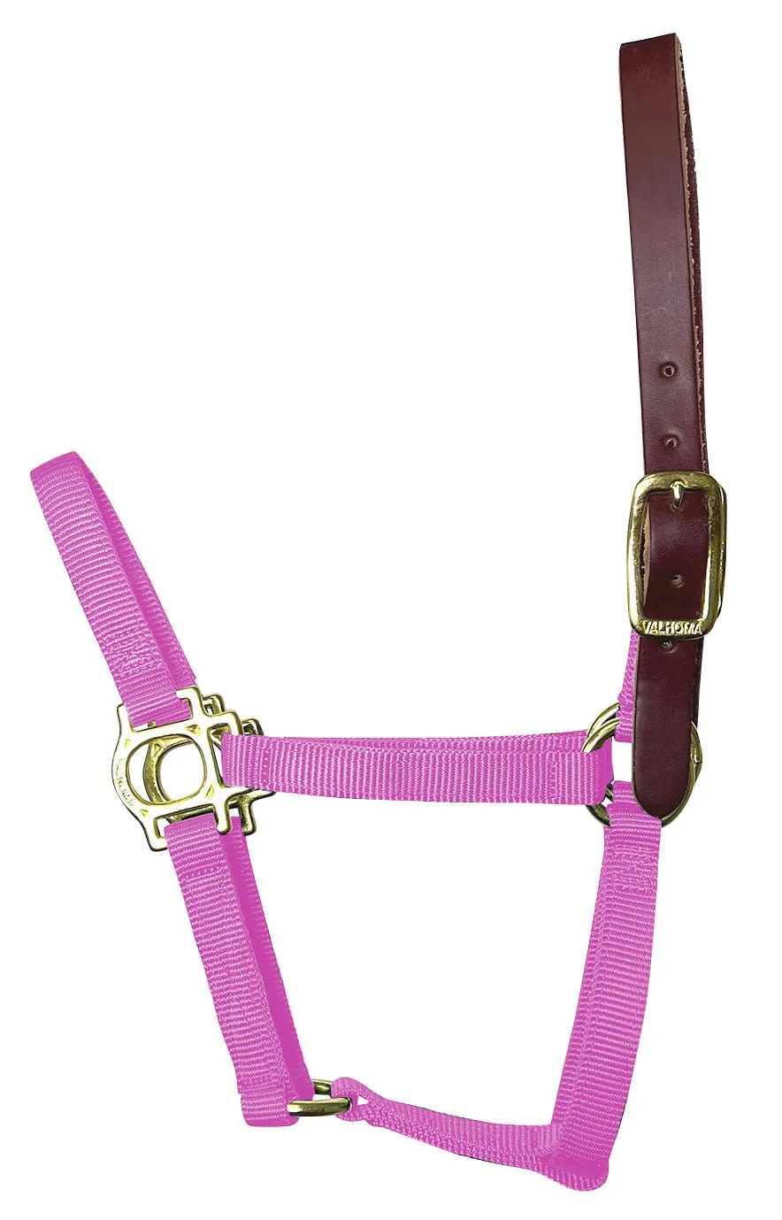 Valhoma Foal & Yearling Premium Breakaway Nylon Halter with Leather Crown