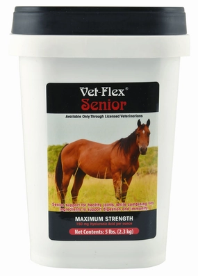 Vet-Flex Senior, 5 lb tuff dog toys durable toys for dogs chew tested toys hard chew toy strong plush